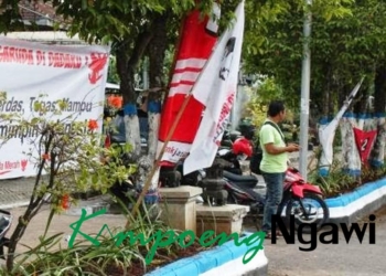 Menjamur di Jalur Hijau, Panwaslu Setengah Hati