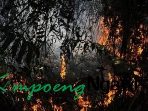 8.209 Bom Air Digunakan untuk Padamkan Kebakaran Hutan Riau
