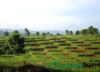 Ratusan Bengkok Tak Bersertifikat