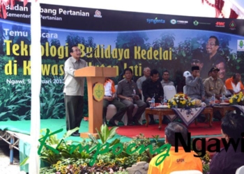 Mentan Hadiri Gelar Teknologi Budidaya Kedelai