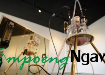 Bahan Bakar Berbasis Bakteri Ditemukan