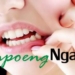 Obat Tradisional untuk Gigi Sakit