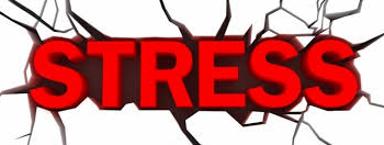 Tips Efektif Menghilangkan Stress