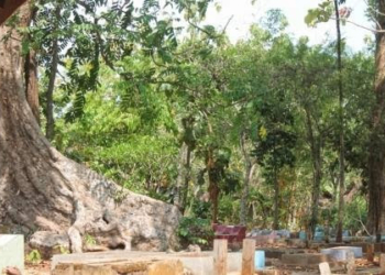 Mitos Punden Jati Nowong, Krandegan