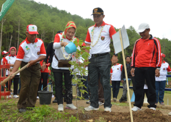 Ngawi Roadshow Ijo Royo – Royo