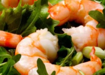 Udang Memang Tinggi Kolesterol Tetapi…