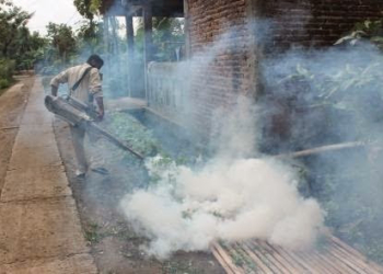 Antisipasi Chikungunya Meluas, Dinkes Ngawi Lakukan Fogging