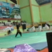Kejuaraan Provinsi Silat di GOR Bung Hatta