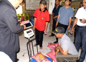 Penimbangan Ulang di Gapoktan Tani Maju