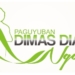 Pemilihan Dimas Diajeng Ngawi Tahun 2016