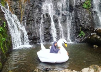 White Swan Hits di Ngawi