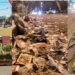 Sampah – Sampah Kotori Kota Kita