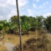 Alhamdulillah Banjir Ngawi Mulai Surut