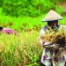 Berikan Janji Petani Negeri