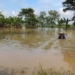 Perkiraan Kerugian Sawah Terendam 37M