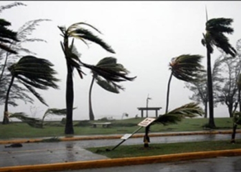 Tips Keselamatan Saat Terjadi Angin Kencang