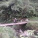 Jembatan Kayu di Hutan Segawen