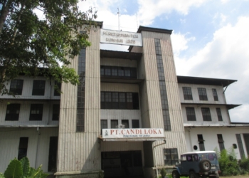 Primadona Ngawi dari Kebun Teh Jamus