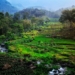 Ngrayudan Menuju Launching Wisata Cunthang River Tubing