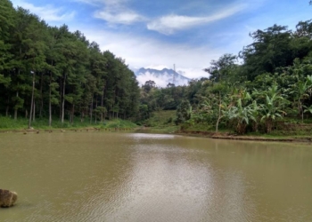 Pemberdayaan Desa Melalui Kiprah Pokdarwis
