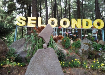 Wisata Bumi Perkemahan Selo Ondo