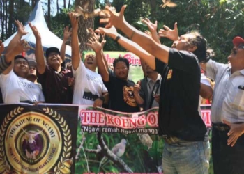 60 Ekor Perkutut Dilepaskan di Bumi Selondo dalam FGB 2017