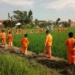 Rangsang Fisik Motorik Siswa dengan Jelajah di Sawah