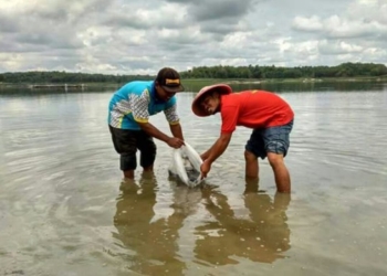 Pokdarwis Pondok Indah Taburkan Benih Ikan di Waduk Pondok Bersama Petugas DAS Solo