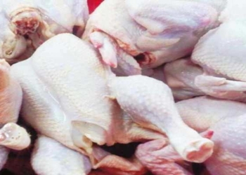 Harga Daging Ayam di Ngawi Mencapai 40 Ribu per Kilogram Memberatkan Konsumen