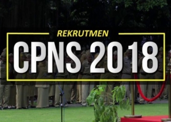 Provinsi Jatim Membuka 2.065 Formasi CPNS Daerah Tahun 2018