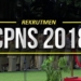 Provinsi Jatim Membuka 2.065 Formasi CPNS Daerah Tahun 2018
