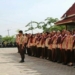 Seluruh Mahasiswa Baru STKIP Modern Ngawi Ikuti Penerimaan Tamu Racana Pramuka