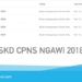 Hasil Tes Seleksi Kemampuan Dasar CPNS Ngawi 2018