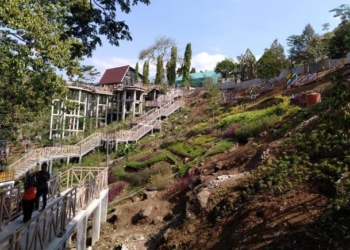 Ngawi Agro Techno Park