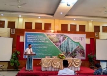 Kemenpar Berikan Bimtek Sinkronisasi Promosi Pariwisata Pasar Asia Pasifik dan Amerika di Ngawi