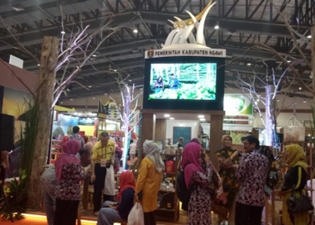 Kabupaten Ngawi Raih Juara 2 Stand Desain Spesial dan Stand Inspiratif dalam Apkasi Otonomi Expo 2019