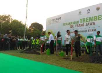 Djarum Foundation Tanam 10.000 Pohon Trembesi sebagai Komitmen Bakti Lingkungan