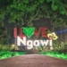 Ngawisme