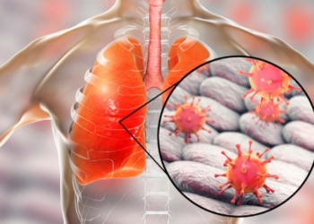 Virus Corona Menyerang Semua Bagian Paru-Paru
