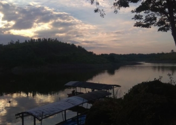 Ngawi, Antara Potensi dan Kesejahteraan Ekonomi