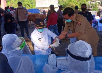 Bupati Ngawi Meninjau Pelaksanaan Rapid Test di Pasar Hewan Kendal