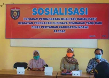 Dispertan Ngawi Sosialisasikan Program Peningkatan Kualitas Bahan Baku Budidaya Tembakau