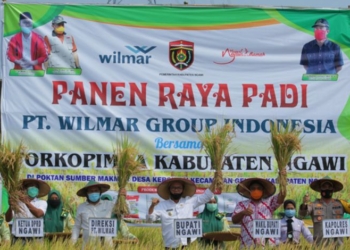 Meski Lahan Pertanian Berkurang Ratusan Hektare, Jumlah Produksi Padi Di Ngawi Masih Terbesar Kedua di Jatim