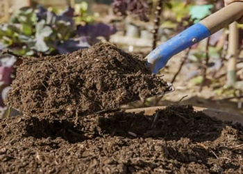 KKN PPM UGM Garap Pupuk Kompos, Lebah Madu, dan Susu di Desa Wisata Brubuh