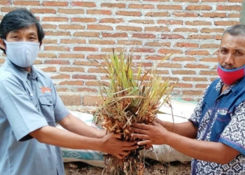 UGM Dukung Warga Jaten Budidaya Tanaman Obat Keluarga Berkualitas Unggul di Masa Pandemi