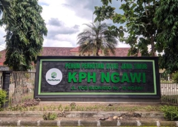 Strategi Sosial Menjadi Bekal Utama KPH Ngawi dalam Perlindungan Hutan