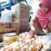 Harga Telur Ayam di Kabupaten Ngawi Tembus Rp 32 Ribu per Kilo