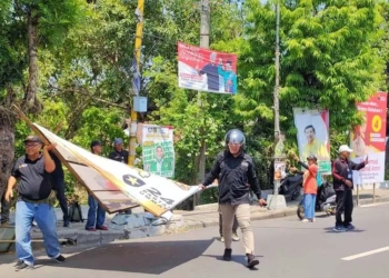 Bawaslu Ngawi Tertibkan APK Langgar Aturan, Terbanyak Dipaku di Pohon