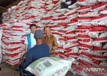Petrokimia Gresik bagikan kupon potongan pembelian pupuk untuk petani