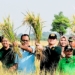 Bupati Situbondo panen padi BK 01 agritan dengan produksi 9 ton/ha